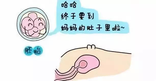 新生儿