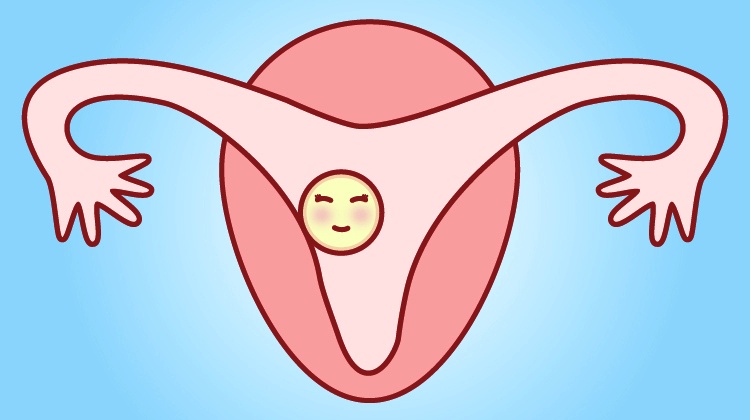 新生儿