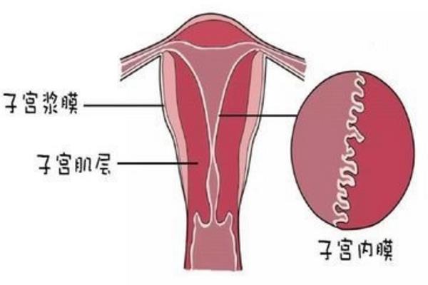 新生儿