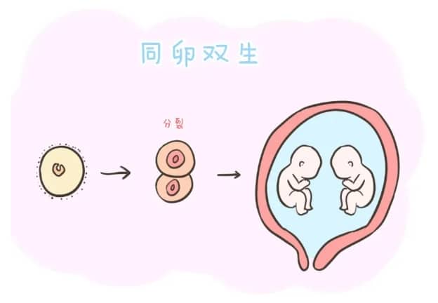 新生儿
